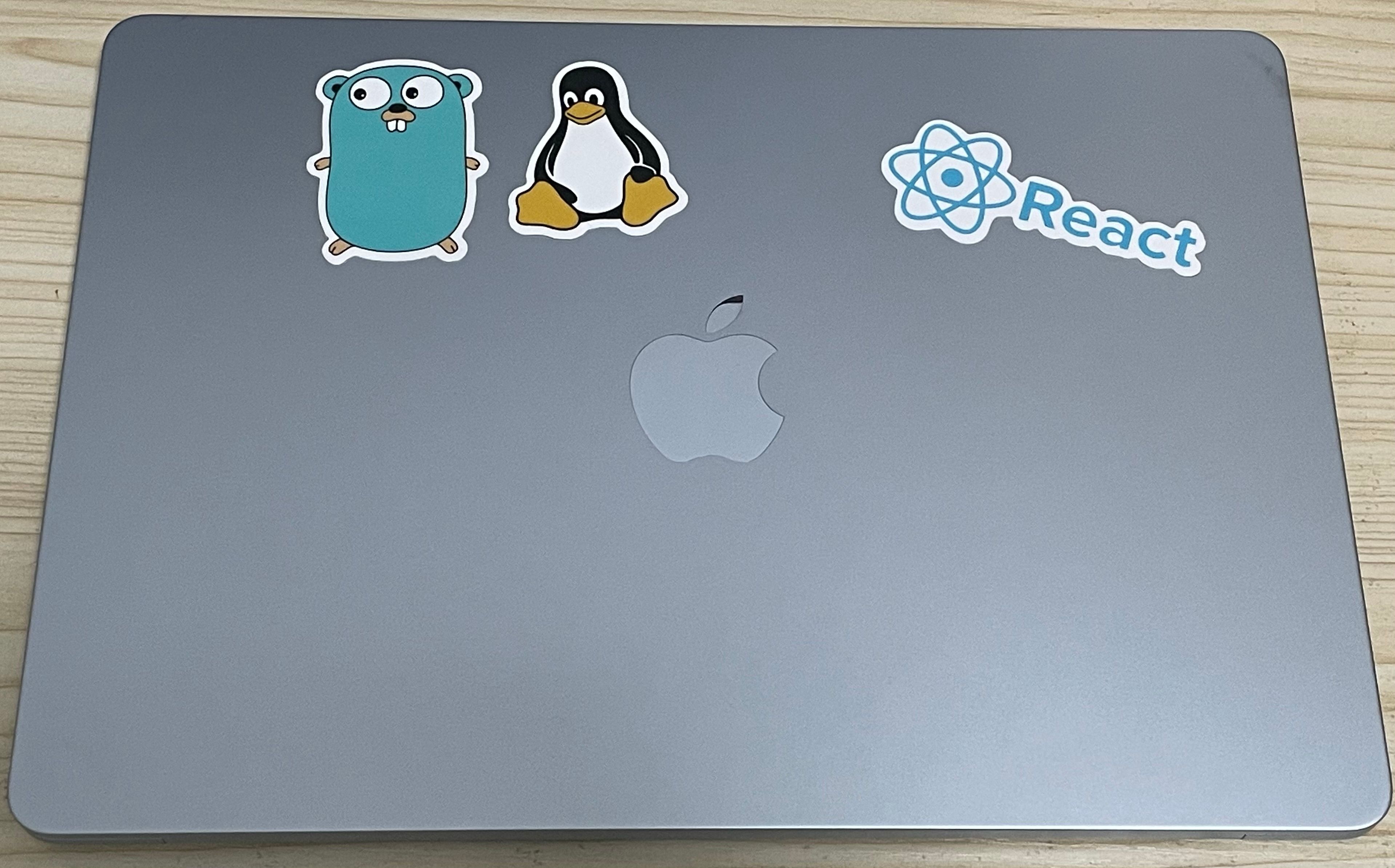 其实只想贴 gopher 来着
